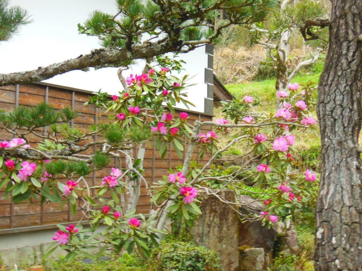 Japanese Style Inn Dohzen Miwa Niimi Kültér fotó